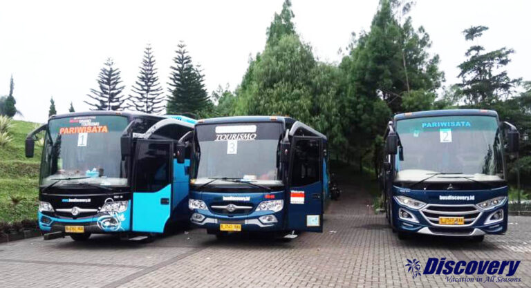 Sewa Bus Medium di Bus Discovery Jakarta - Bus Discovery