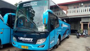 Sebelum Sewa, Pahami Dulu Beda Bus Executive dan Bus VIP