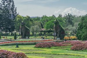 Nikmati Keindahan Taman Bunga Nusantara Puncak