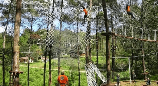 Treetop Adventure Park