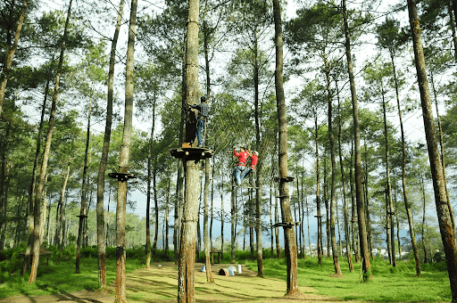 Treetop Adventure Park