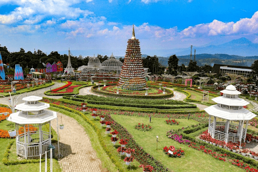 Taman Bunga Celosia