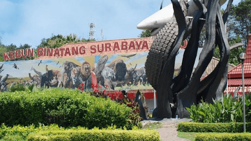 Kebun Binatang Surabaya