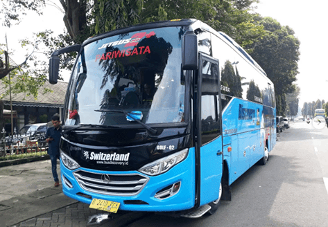 sewa bus mice