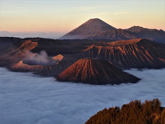sewa bus pariwisata jakarta bromo