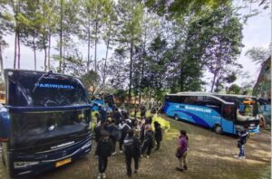 Cara Memilih Waktu Terbaik untuk Perjalanan Naik Bus