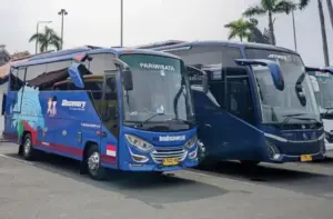 sewa bus untuk pernikahan