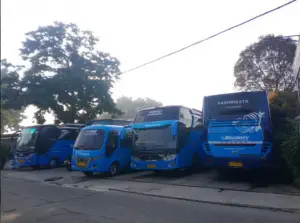 armada bus discovery