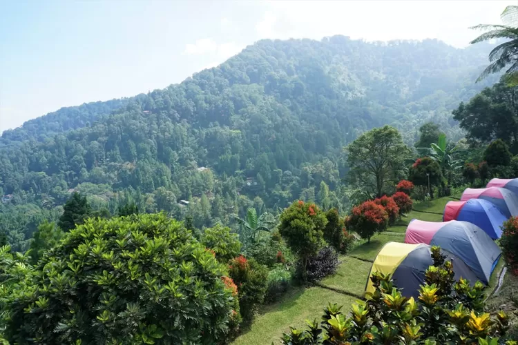 Eagle Hill Camp Megamendung