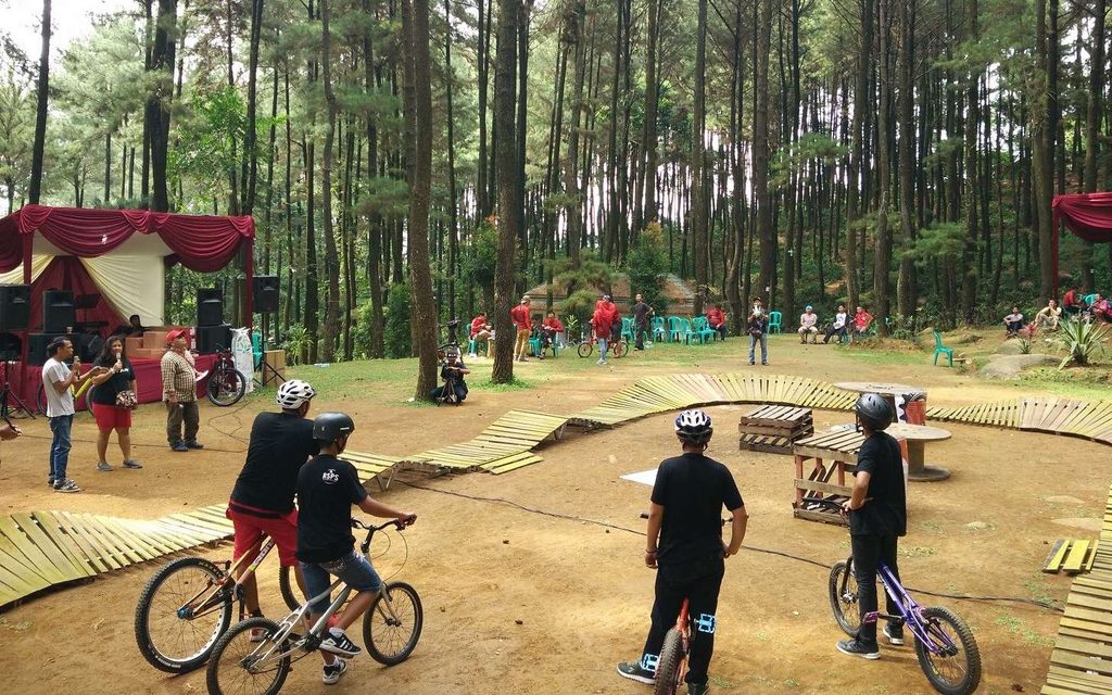 Gambar Hutan Pinus Gunung Pancar