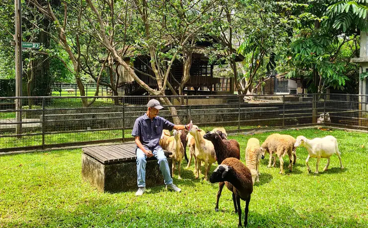 kuntum farmfield