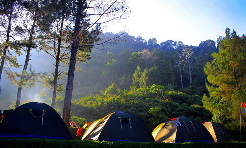 Highland Camp Curug Panjang