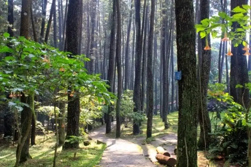 wisata cikampek